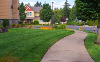 Year-Long HOA Lawn Maintenance
