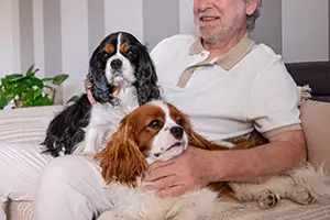 What are the rules for emotional support animals in Texas
