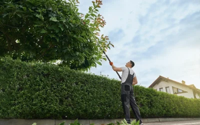 Is Spring Tree Pruning The Best Time For Your HOA?