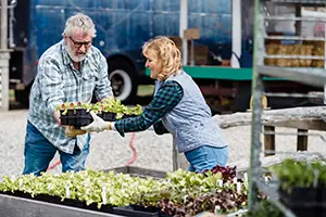 managing active senior communities