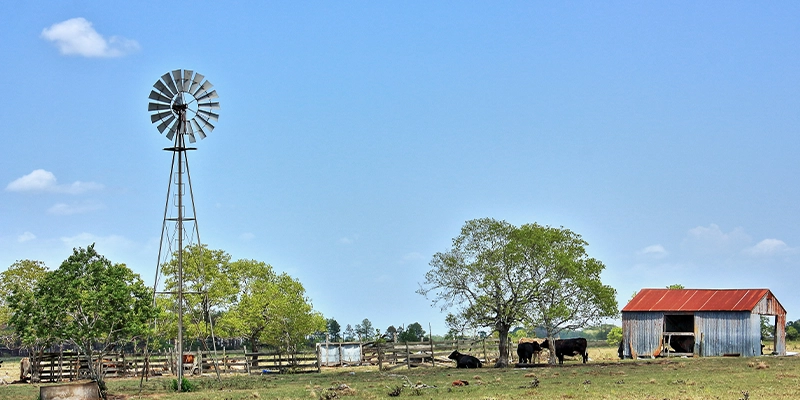 hoa management in Sealy