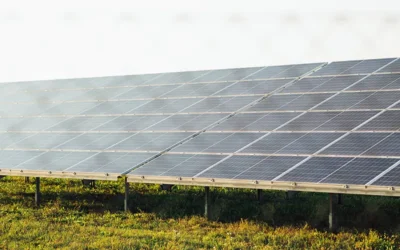 Solar Panels And HOA Approval In Texas